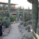 arizona from other cameras - DSCF1611